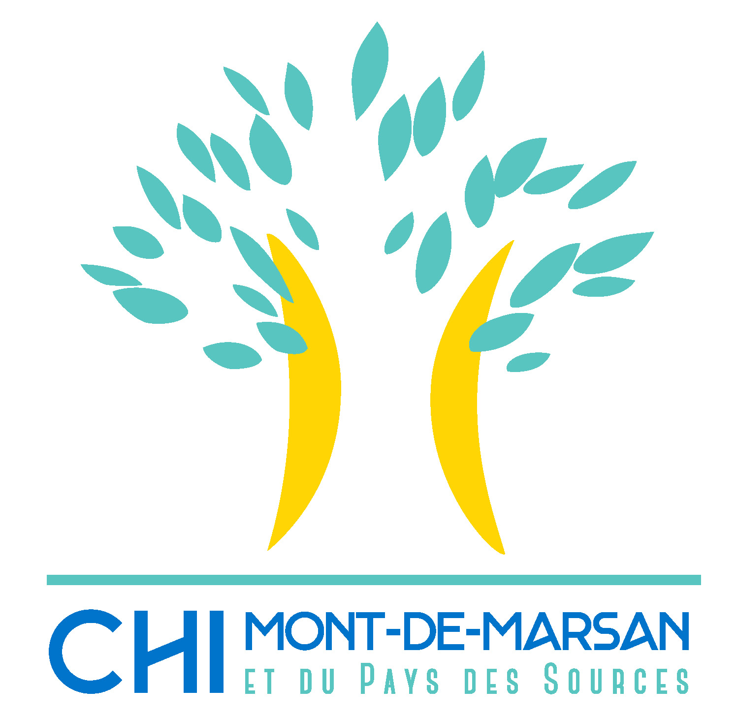 Centre Hospitalier de Mont de Marsan – Hôpital Layné